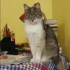 Отзыв от Аня Терехова